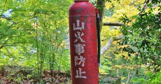 山火事の「約7割」が1～5月に発生…その大半は“人間の不注意”によって起きている!?