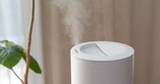風邪予防や肌の乾燥対策だけじゃない！冬の省エネにも役立つ「加湿テク」