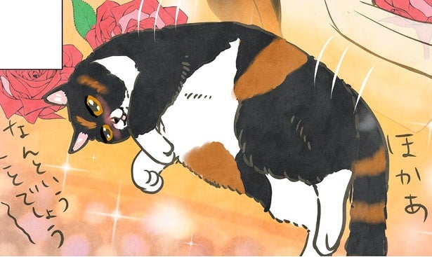 ポーランドからきたマダム猫、初めてのホットカーペットにとろ～ん
