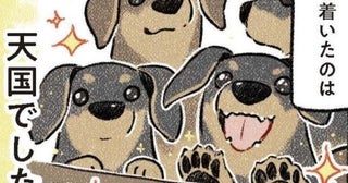 不整脈、不眠症、パニック障害で昼夜逆転の「引きこもり」生活→ドーベルマン中心の朝5時起きでまさかの「ゴリラ化」