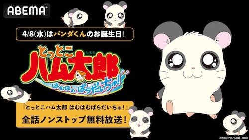  とっとこハム太郎 はむはむぱらだいちゅ！、全話ノンストップ放送 