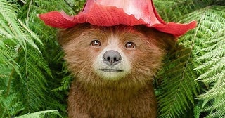 【インタビュー】パディントンのルーツが明かされる新作で描きたかった“家（ホーム）”の在り方ドゥ－ガル・ウィルソン監督が語る