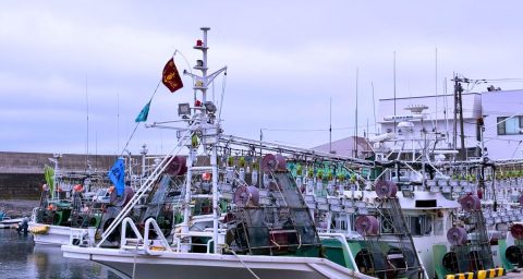 「イカの街・函館」に移住したのに“不漁&高値”で肝心のイカがいない!? 名物スルメイカが「1キロ1万円」の“ご祝儀価格”…それでも「オオズワイガニ1匹300円」で食卓は豊か？ 在住者が実録レポート