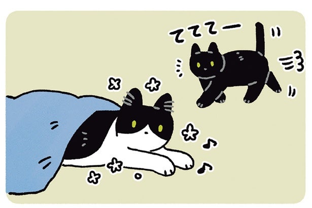 今のは何だったの？黒猫ろんの不思議ムーブにぽか〜ん顔の猫
