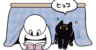 くっついて寝たい気分？こたつでくつろぐ黒猫ろん