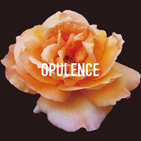 「OPULENCE」が渋谷PARCOでPOPUP開催！ネゴシックス氏とのじゃんけん大会も