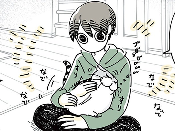 ネコと飼い主の幸せ時間。けれど、離れてすぐに毛づくろいをされて
