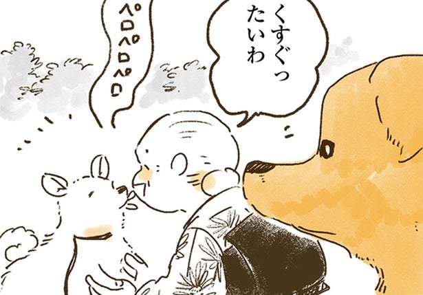 ヤキモチ全開!?おばあちゃんっ子レトリバーとのおさんぽ