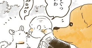 ヤキモチ全開!?おばあちゃんっ子レトリバーとのおさんぽ