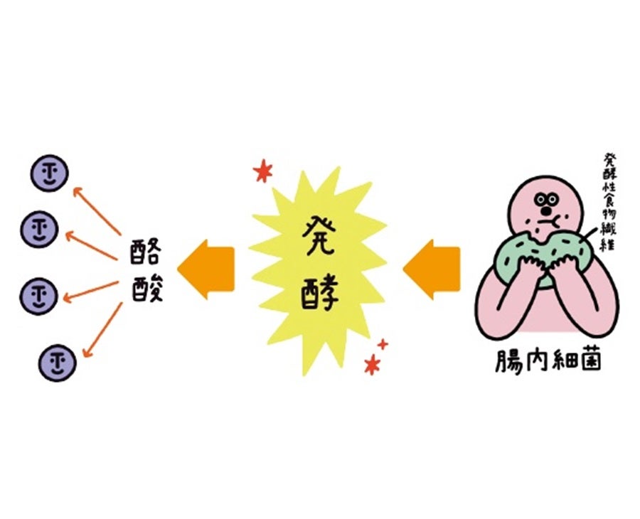 コンビニで根菜サラダを追加するだけでもOK！ 【腸活】注目の“発酵性食物繊維”を摂る方法