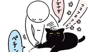なでてもらって大満足！黒猫ろんの爪切りルーティン