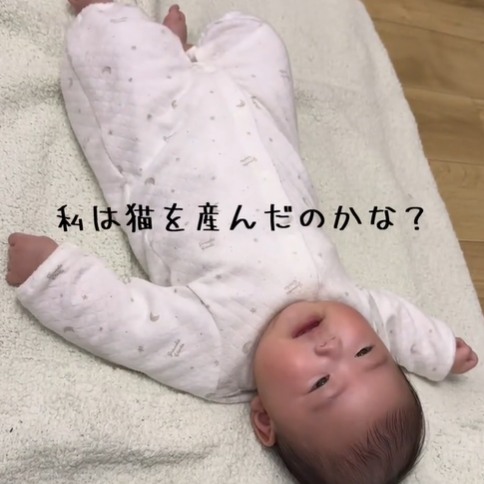 泣き声が完全に「にゃ〜」な赤ちゃんがかわいすぎる♡【私は猫を生んだのかな？】