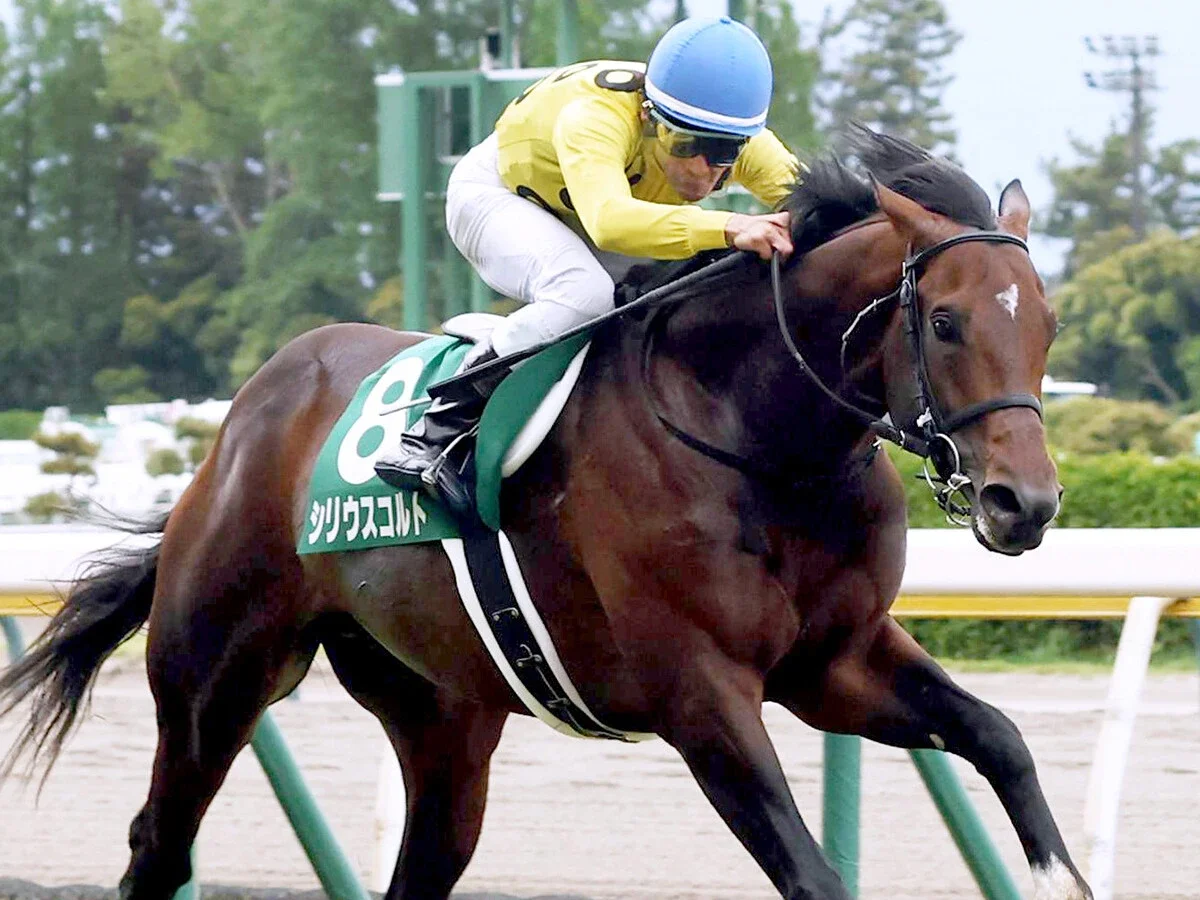 【競馬予想】伏兵の台頭が頻繁に見られる関屋記念穴党記者が目をつけた激走候補２頭