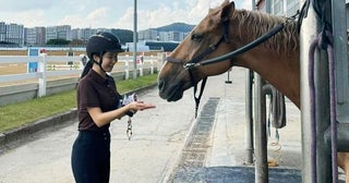 乗馬を楽しむアン・シネツアー引退後の生活を満喫 「永遠の、美魔女」と絶賛！