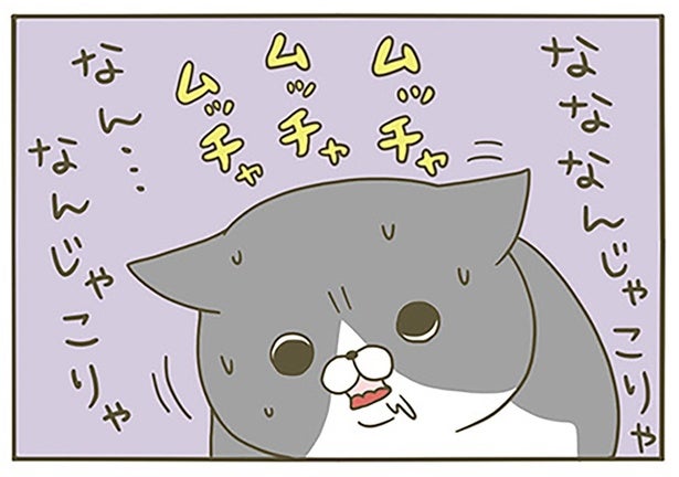 珍しい食べ物に困惑？ キャットフードを普段食べている猫にマグロをあげてみたら