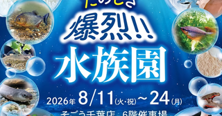 「外で遊べない…」猛暑の夏休みに！涼しい百貨店で"あの生き物"に会える夏休み限定イベント