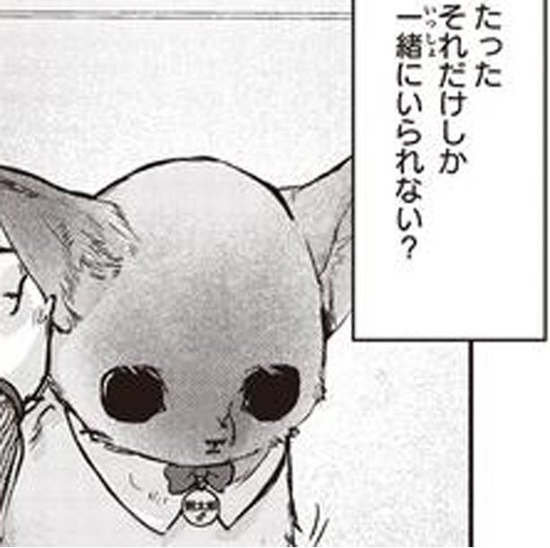 獣医から告げられた病名と余命。保護した子猫の辛い現実／スローステップ朔太郎 上（16）