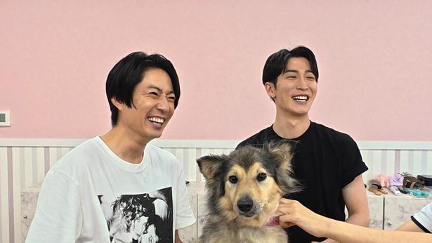 Snow Man・渡辺翔太、相葉雅紀と被災した犬をトリミング作業中に“アイドルになった理由”も語る＜嗚呼!!みんなの動物園＞