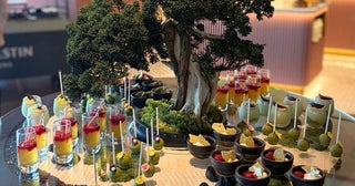 ウェスティンホテル横浜「抹茶デザートビュッフェ」を体験。日本庭園を表現したビュッフェ台、ブランド茶スイーツも
