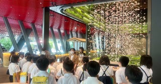 お米の歴史と未来を楽しく学べる「ヤンマー米ギャラリー」東京駅直結、地元の小学5年生が体験学習