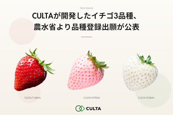 CULTA、開発したイチゴ3品種の品種登録出願が農水省より公表。ギフトにおすすめ