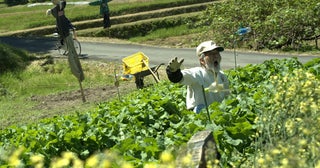 「地面師たち」“なりすましおじいちゃん”五頭岳夫、約50年ぶりに「八つ墓村」へ帰還「帰ってまいりました！」