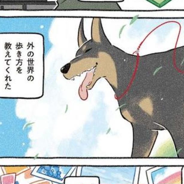 ドーベルマンを飼ったら人生変わった!?引きこもる日々から朝晩散歩1時間！愛犬が教えてくれた「外の世界の歩き方」【作者に聞く】