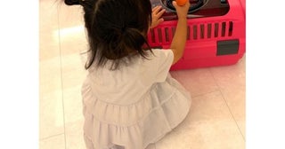  東貴博、２歳次女がお盆に見せた亡き愛兎めぐる不思議な行動明かす 