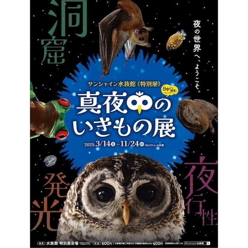 【これは行きたい】暗闇で夜の生き物をのぞき見！ サンシャイン水族館で「真夜中のいきもの展」開催