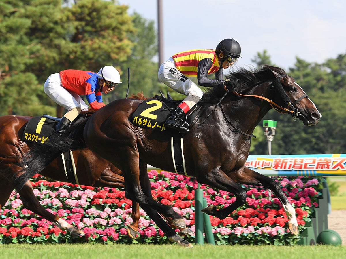 【競馬血統予想】ＧⅠマイルチャンピオンシップと縁がある馬は？混戦を抜け出しそうな２頭をピックアップ