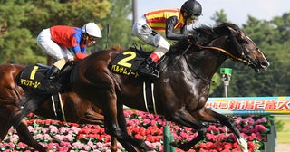 【競馬血統予想】ＧⅠマイルチャンピオンシップと縁がある馬は？混戦を抜け出しそうな２頭をピックアップ