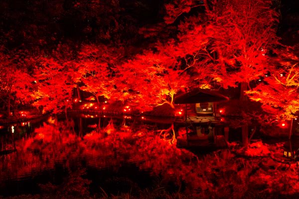 東京で秋色の庭園を楽しむ八芳園で秋の恒例イベント「TOKYO RED GARDEN 2024」