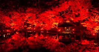 東京で秋色の庭園を楽しむ八芳園で秋の恒例イベント「TOKYO RED GARDEN 2024」