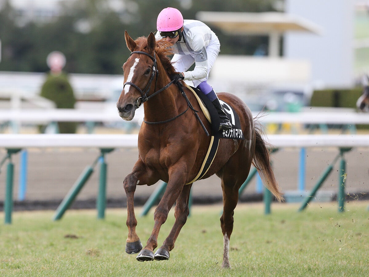 【競馬予想】ＧＩエリザベス女王杯は特大万馬券も夢ではない――高額配当の使者はこの２頭