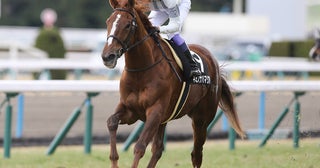 【競馬予想】ＧＩエリザベス女王杯は特大万馬券も夢ではない――高額配当の使者はこの２頭