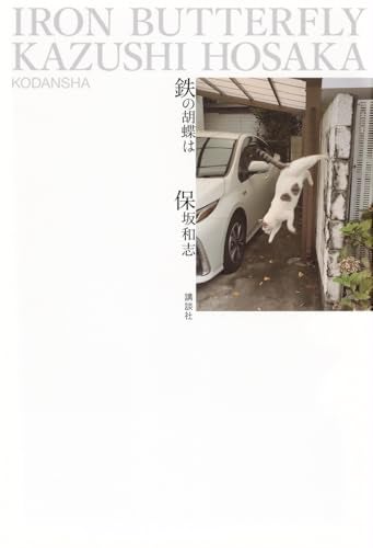 長編小説（なのか？）。エッセイのようにも、私小説のようにも読める。