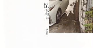 長編小説（なのか？）。エッセイのようにも、私小説のようにも読める。