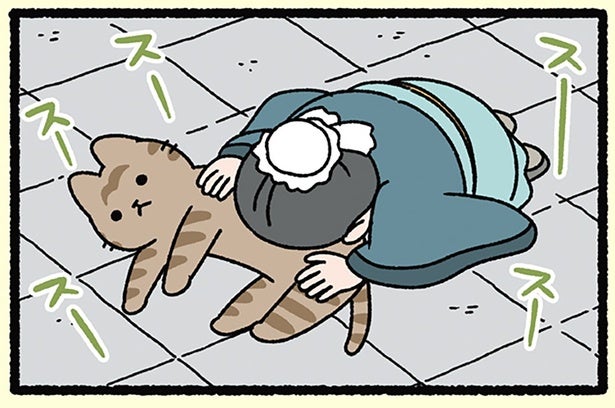 【過ぎたるは及ばざるが如しとねこ】ねこに夢中！ 弟子には師の教えも届かない