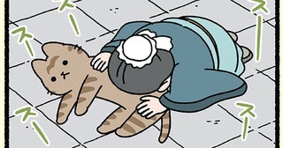 【過ぎたるは及ばざるが如しとねこ】ねこに夢中！ 弟子には師の教えも届かない