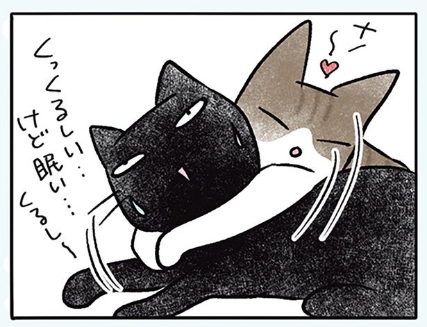 苦しい、けど眠い。乗っかってきた他の子を放っておいて寝続けられる猫がすごい