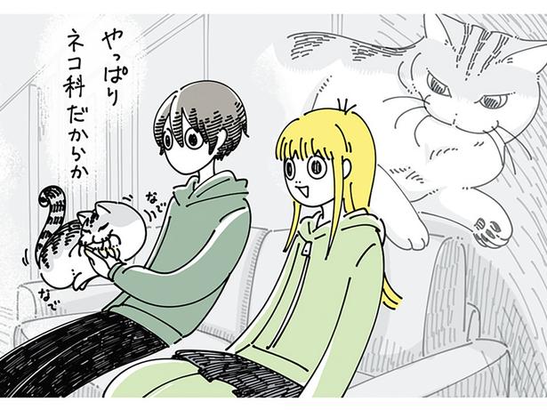 テレビに映る動物を見、つい愛猫のことを思い出してしまう飼い主あるある