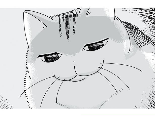 体調不良で寝込む飼い主のもとへ現れたネコ。絶妙な表情は何を思っている？