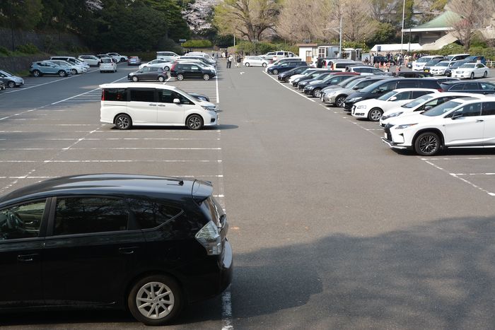 なぜ⁉ ガラガラの駐車場で「わざわざ隣に止めてくる車」の正体話を聞いてわかった“トナラー”の意外な心理